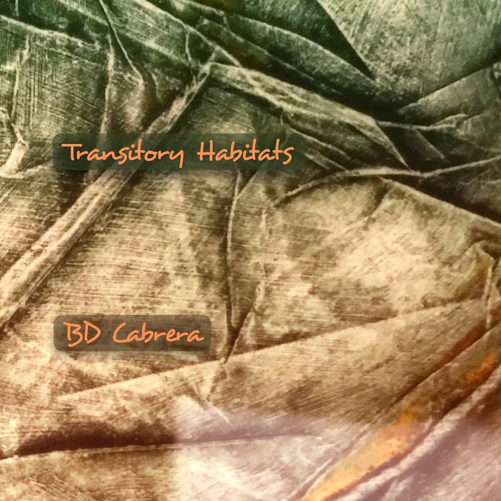 full-size album cover art